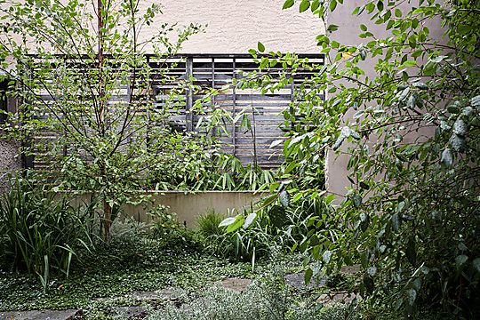 Interior photograph of Y3 Garden by Andy Macpherson