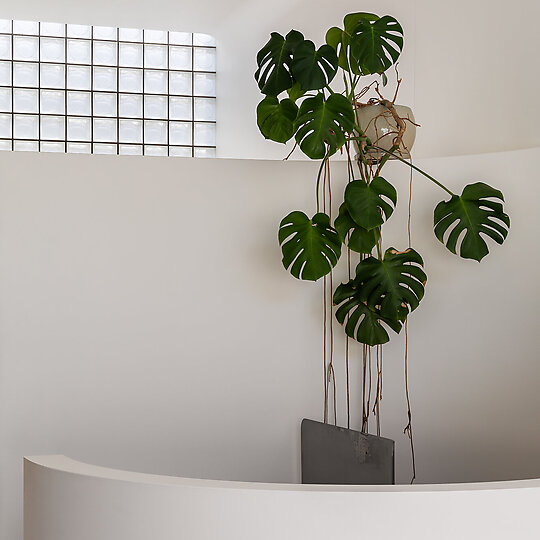 Interior photograph of Laneway Glass House by Katherine Lu