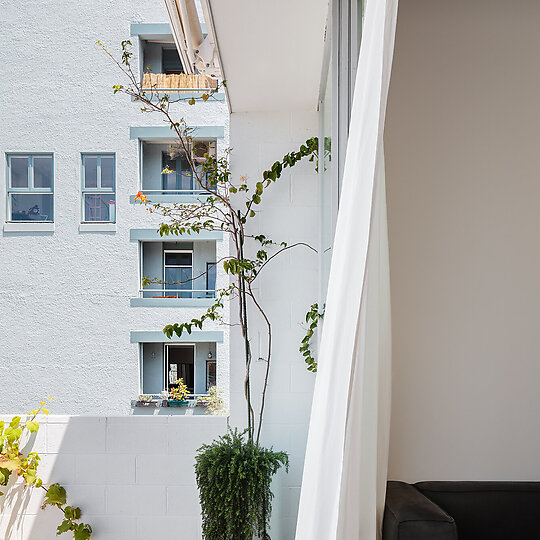 Interior photograph of Laneway Glass House by Katherine Lu