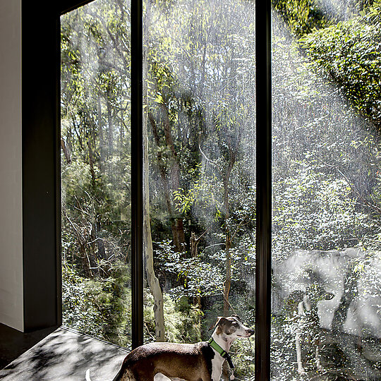 Interior photograph of House at Pretty Beach by Brett Boardman