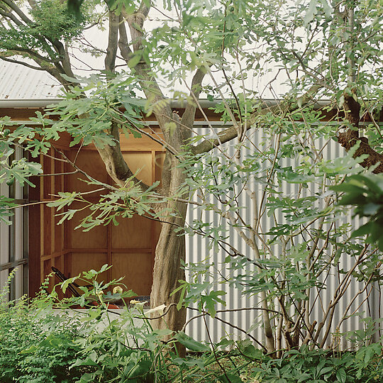 Interior photograph of Lily's Shed by Rory Gardiner