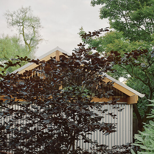 Interior photograph of Lily's Shed by Rory Gardiner