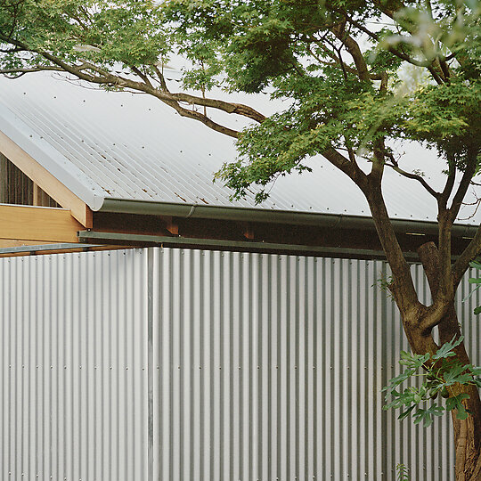 Interior photograph of Lily's Shed by Rory Gardiner