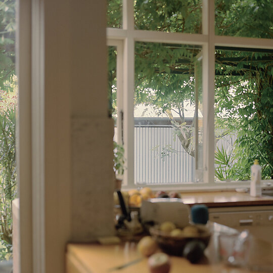 Interior photograph of Lily's Shed by Rory Gardiner