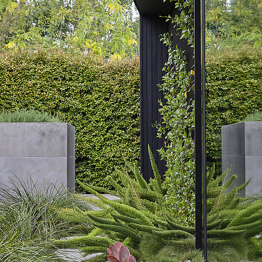 Interior photograph of House for a Landscape Designer by Derek Swalwell 