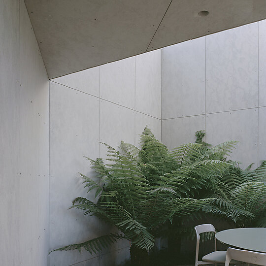 Interior photograph of Mossy Point House by Rory Gardiner