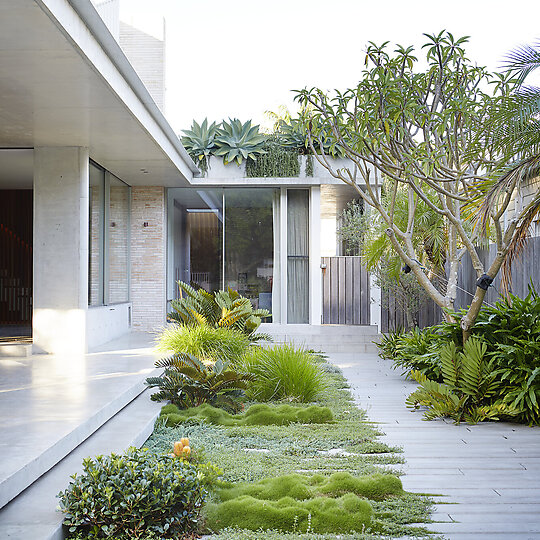 Interior photograph of Little Manly Gardens by Natalie Hunfalvay