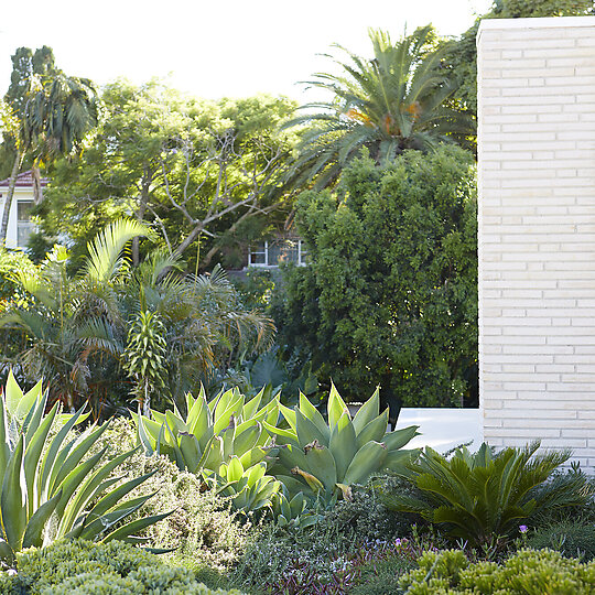 Interior photograph of Little Manly Gardens by Natalie Hunfalvay