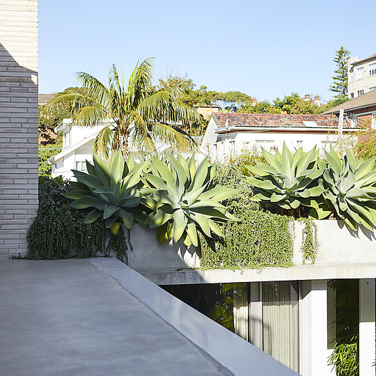 Interior photograph of Little Manly Gardens by Natalie Hunfalvay