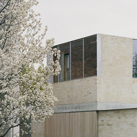 Interior photograph of Mary Street House by Rory Gardiner