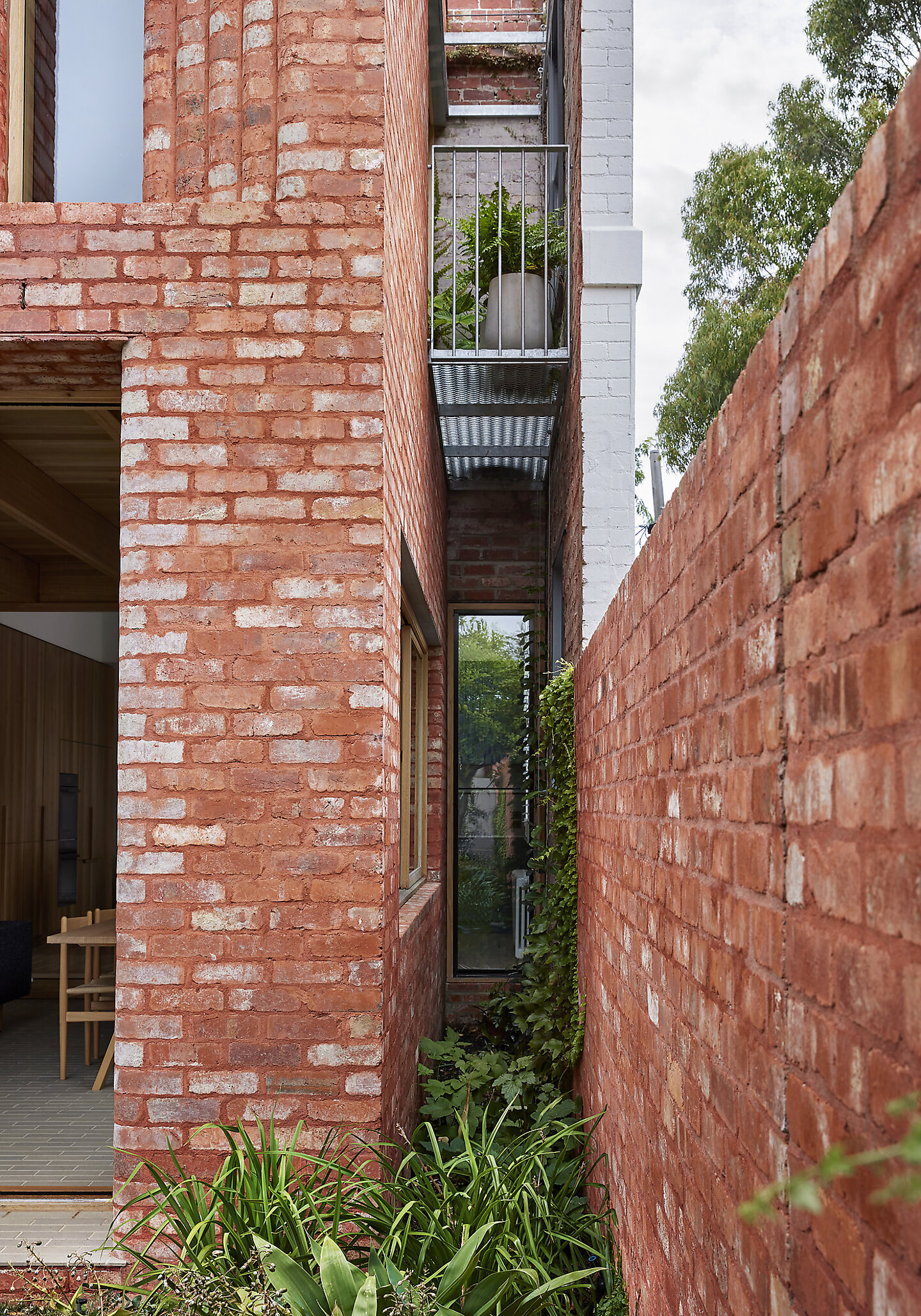 Fitzroy North Terrace by Clare Cousins Architects | Houses Awards