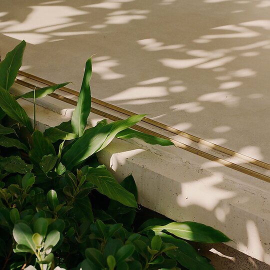 Interior photograph of Balmain House by Saskia Wilson