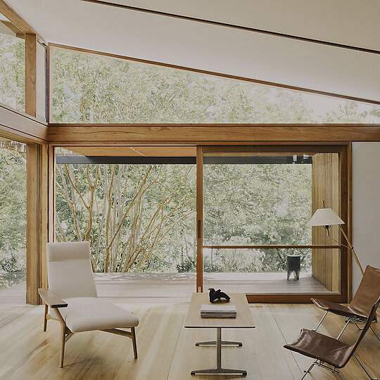 Interior photograph of Butterfly House by Daniel Mulheran