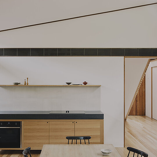 Interior photograph of Butterfly House by Daniel Mulheran