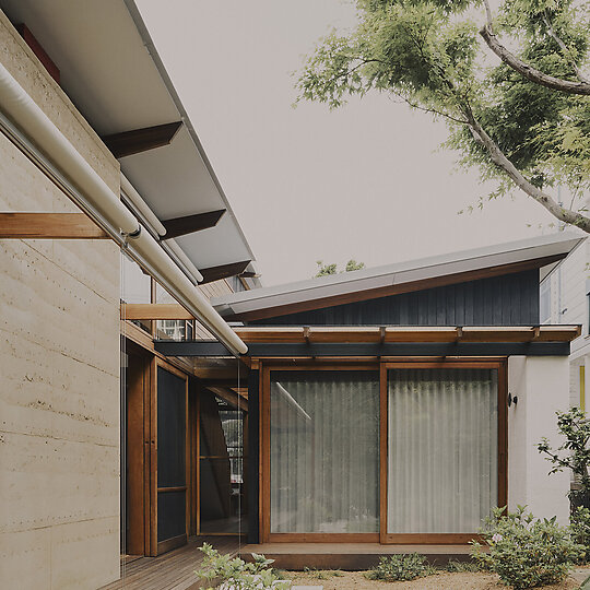 Interior photograph of Butterfly House by Daniel Mulheran