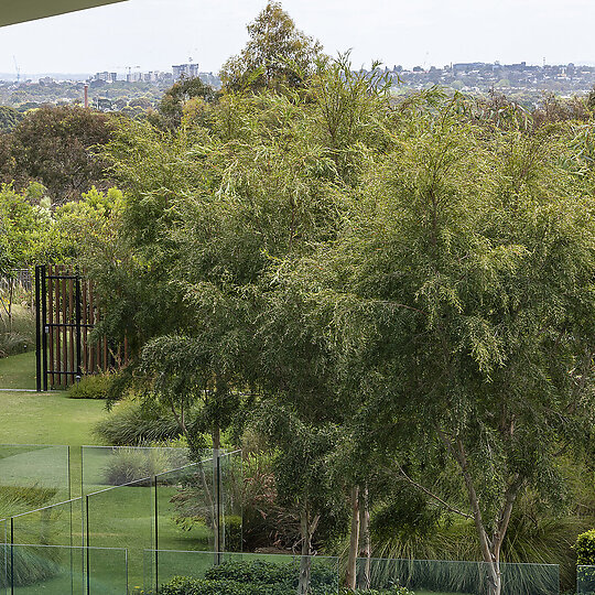 Interior photograph of Confidential Private Residence by Ben Wrigley