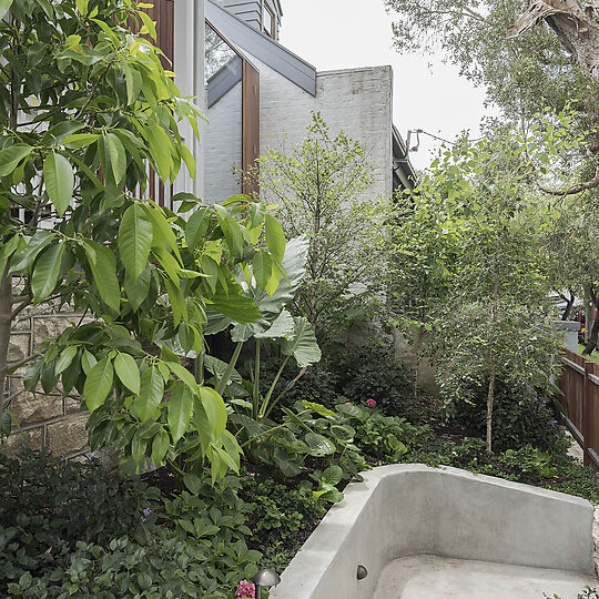 Interior photograph of House in Lilyfield by Tom Ferguson Photography