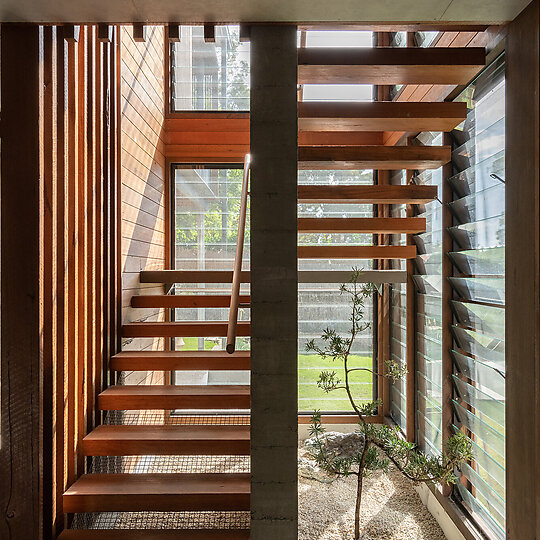 Interior photograph of Bayview Tree House by Open riser stairs enclosed with glass louvres affords more opportunities to glimpse the surrounding bush from within. Photographer: Luke Shadbolt