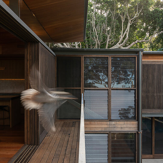 Interior photograph of Bayview Tree House by Eave overhangs create shelter from the elements and external balconies offer a place to sit outdoors amongst the bush. Photographer: Luke Shadbolt