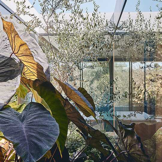 Interior photograph of Gully House by Peter Bennetts