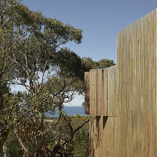 Interior photograph of Passive House by Derek Swalwell