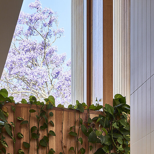 Interior photograph of Wisteria by Pablo Veiga