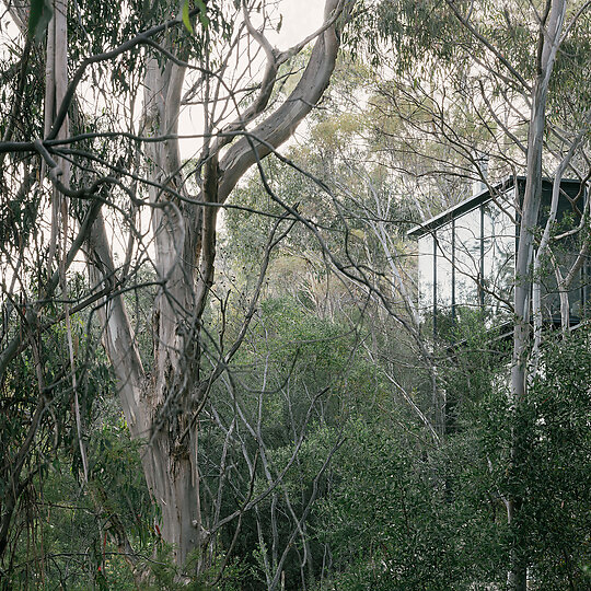 Interior photograph of Taroona House by Thurston Empson