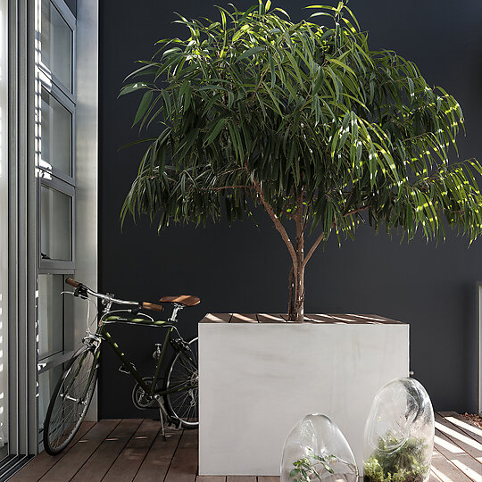 Interior photograph of WEDGE LOFT by TOM FERGUSON