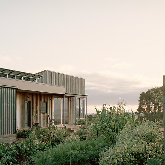 Interior photograph of Heather's House by Rory Gardiner