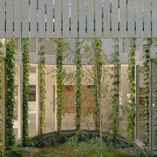 Interior photograph of Dennis House by Tom Ross