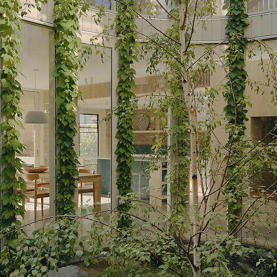 Interior photograph of Dennis House by Tom Ross