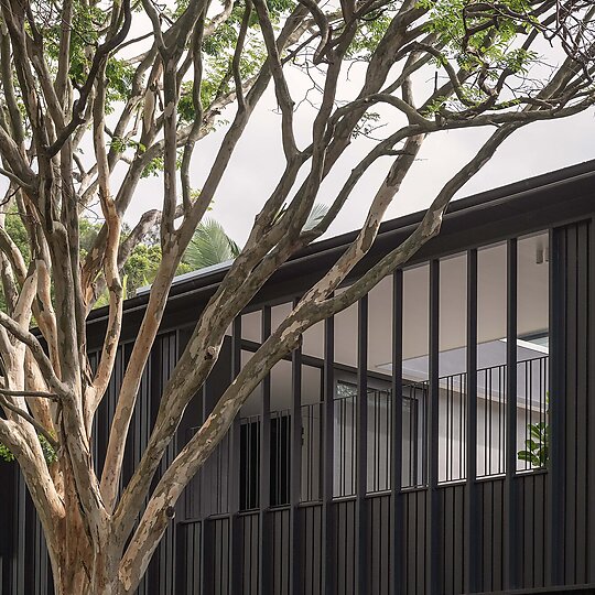 Interior photograph of BARDON TREETOP HOUSE by CATHY SCHUSLER