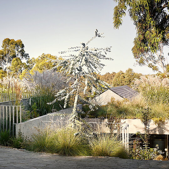 Interior photograph of TBC by Sharyn Cairns