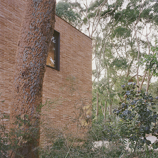 Interior photograph of Maitland Bay House by Rory Gardiner