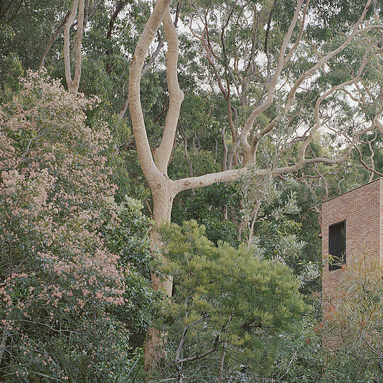 Interior photograph of Maitland Bay House by Rory Gardiner