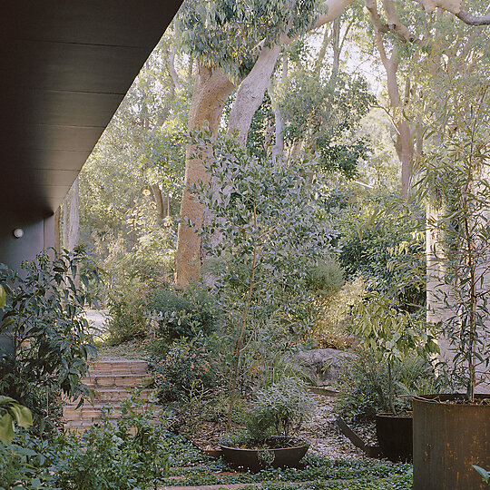 Interior photograph of Maitland Bay House by Rory Gardiner