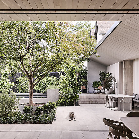 Interior photograph of Butterfly House by Tom Blachford