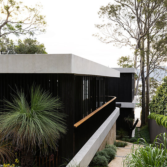 Interior photograph of Ripple House by Simon Whitbread