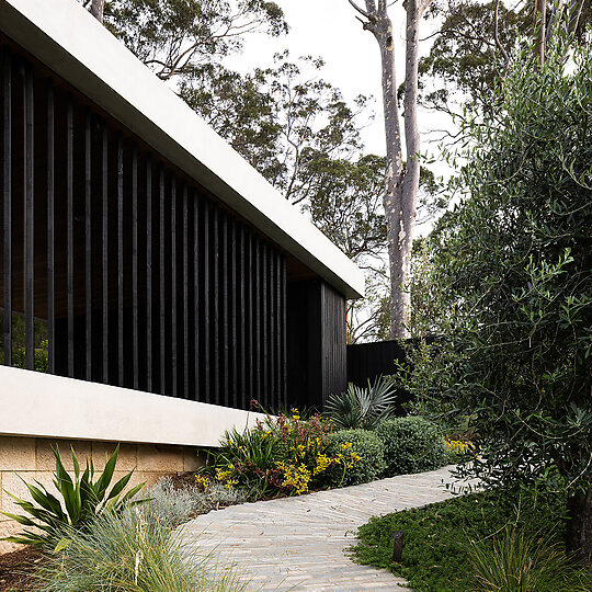 Interior photograph of Ripple House by Simon Whitbread