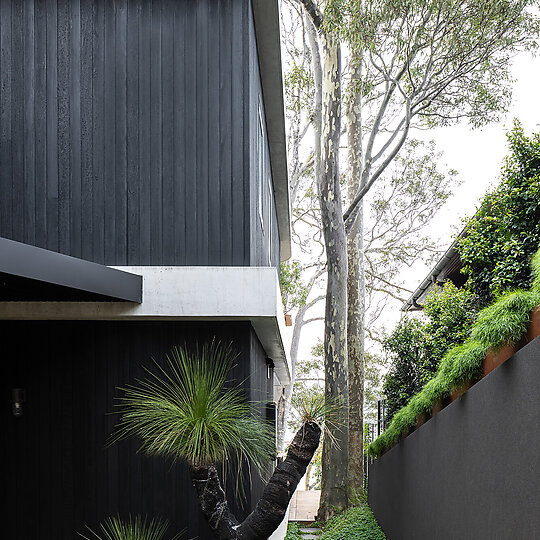 Interior photograph of Ripple House by Simon Whitbread