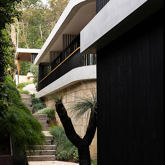 Interior photograph of Ripple House by Simon Whitbread