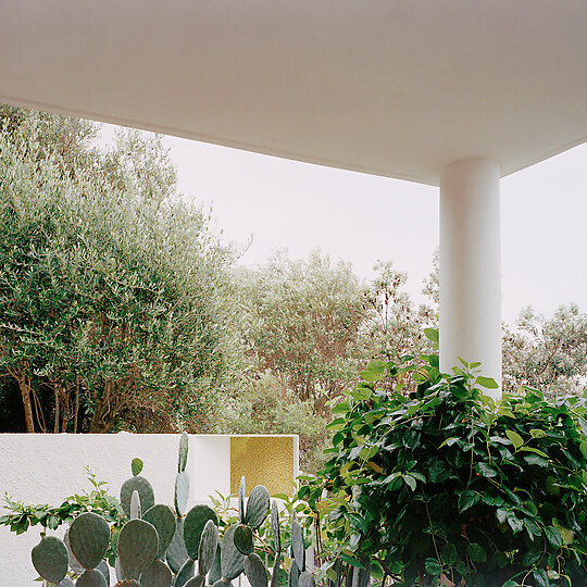 Interior photograph of TAMARAMA HOUSE by Rory Gardiner