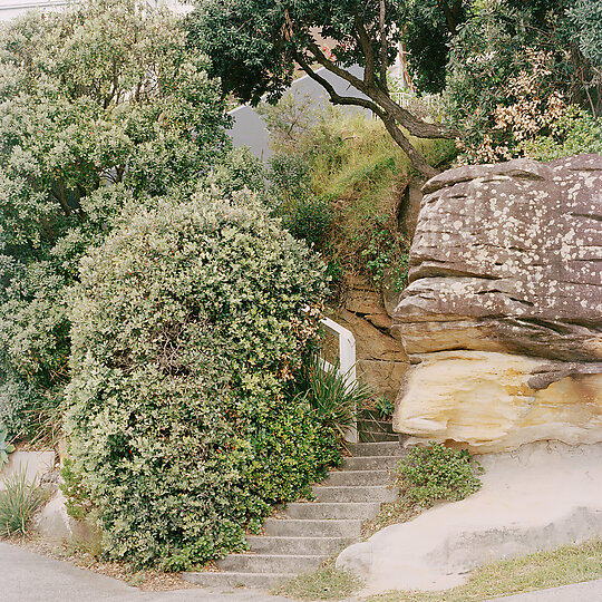 Interior photograph of TAMARAMA HOUSE by Rory Gardiner