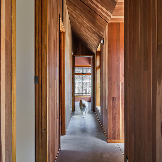 Interior photograph of Ochre House by Anne Stroud