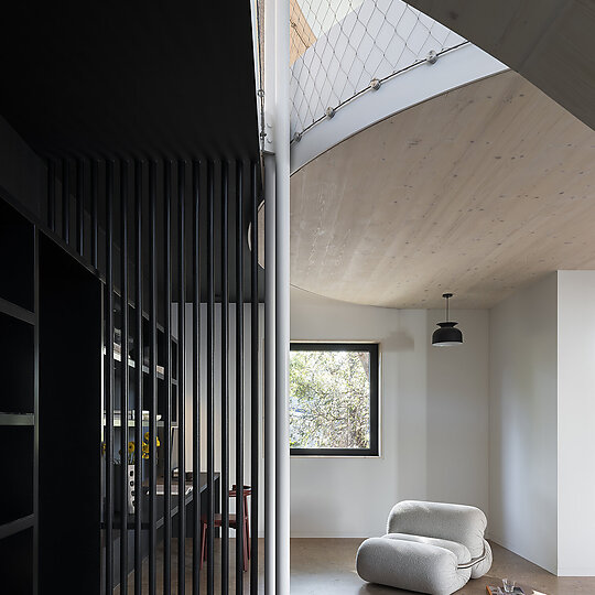 Interior photograph of Sapling by Tom Ferguson