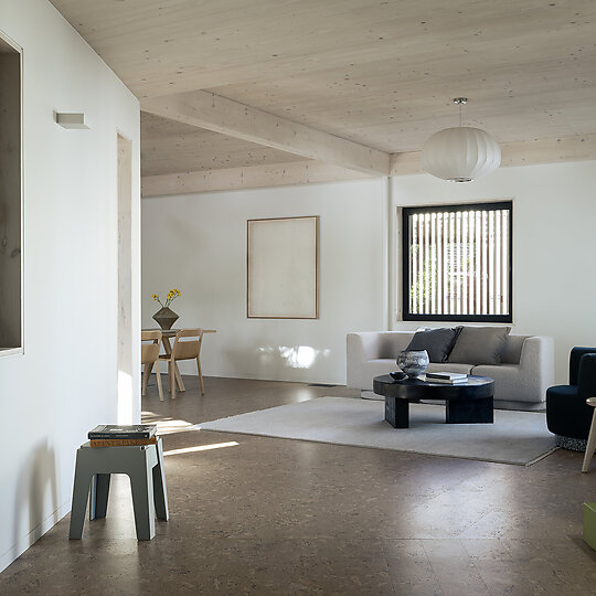 Interior photograph of Sapling by Tom Ferguson
