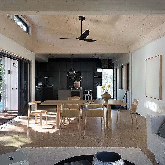 Interior photograph of Sapling by Tom Ferguson