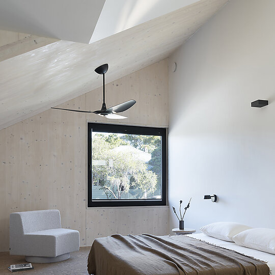 Interior photograph of Sapling by Tom Ferguson