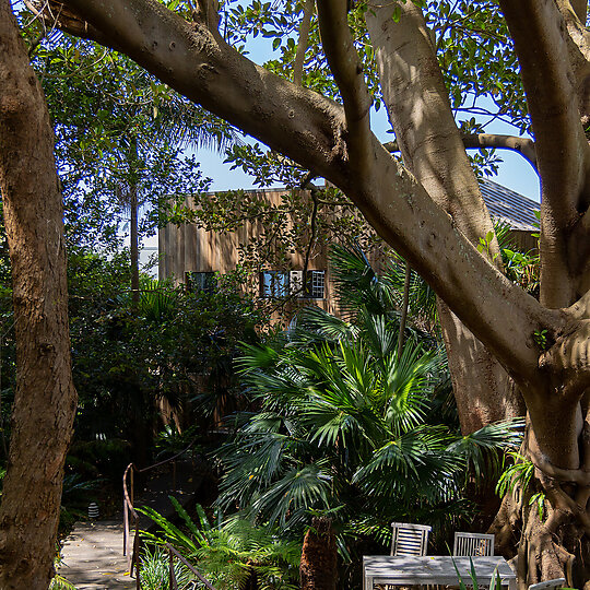 Interior photograph of Wombarra House by Josh McGuigan