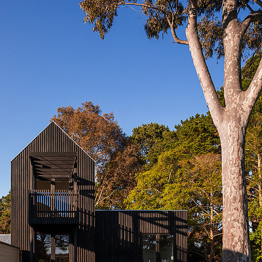 Interior photograph of The Apple House by Trevor Mein